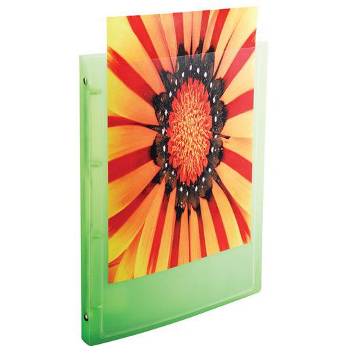 Set di 20 raccoglitori 4 anelli PP 5/10 krea cover A4 Assortiti,