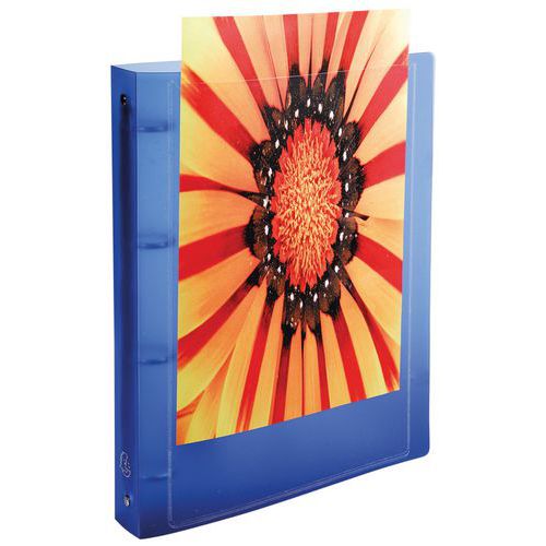 Set di 5 raccoglitori 4 anelli PP 5/10 krea cover A4 Assortiti,