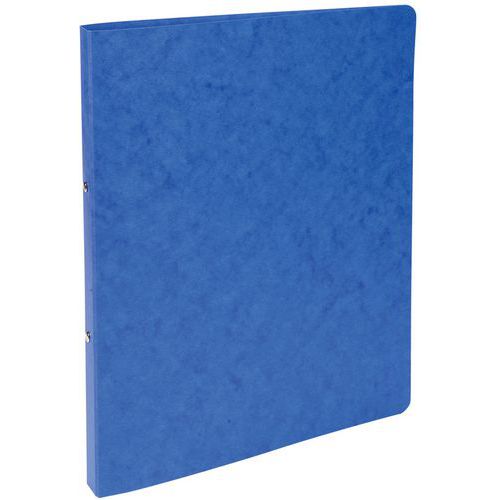 Set di 20 raccoglitori 2 anelli 15 mm cartoncino lucido A4 Assortiti,