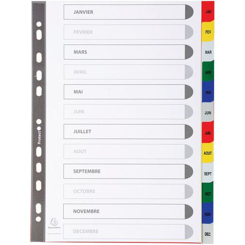 Set di 12 intercalari mensili in pp a colori genn-dicembre A4,