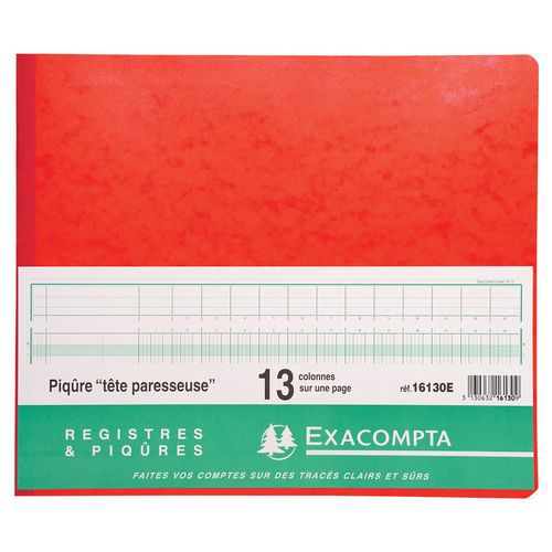 Registro rilegato 27 x 32 cm con intestazioni di colonna allineate, ogni pagina ha 13 colonne,