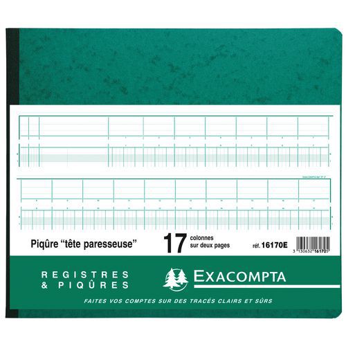 Registro rilegato 27 x 32 cm con intestazioni di colonna allineate, ogni pagina è doppia e ha 17 colonne,