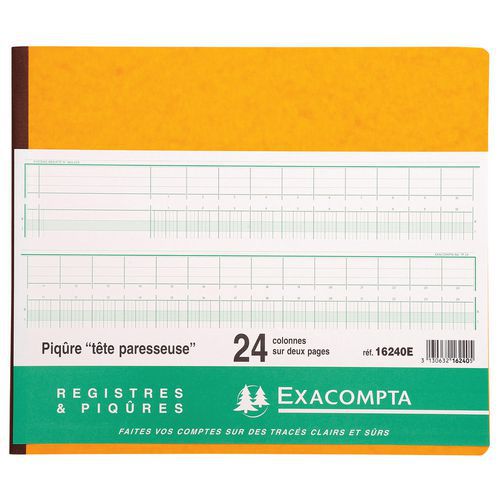 Registro rilegato 27 x 32 cm con intestazioni di colonna allineate, ogni pagina è doppia e ha 24 colonne,