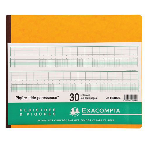 Registro rilegato 27 x 32 cm con intestazioni di colonna allineate, ogni pagina è doppia e ha 30 colonne,