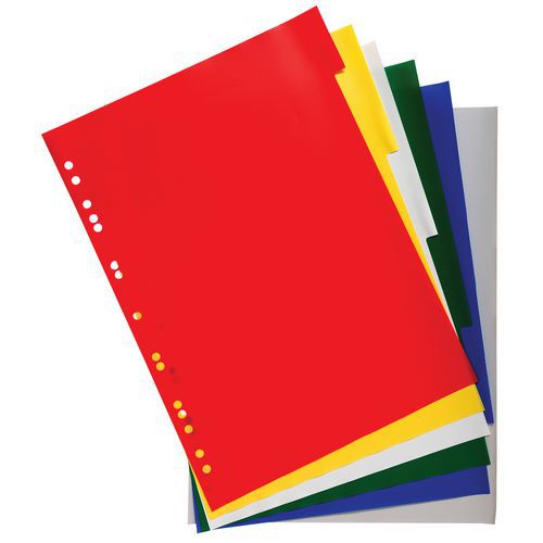 Set di 100 Set da 6 intercalari Assort,