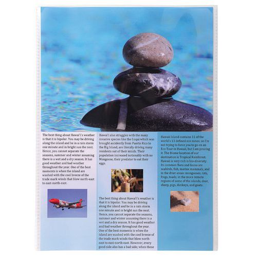 Confezione da 10 custodie protettive formato singolo PP A4 Crystal,