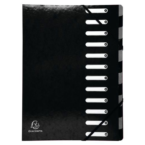 Set di 8 classificatori harmonika iderama 12 scomparti Assortiti,