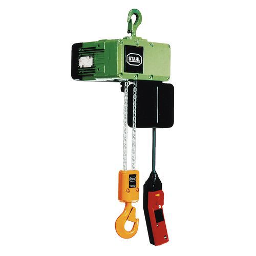 Paranco elettrico con gancio - 1 braccio - 2 velocità di sollevamento 125 kg,
