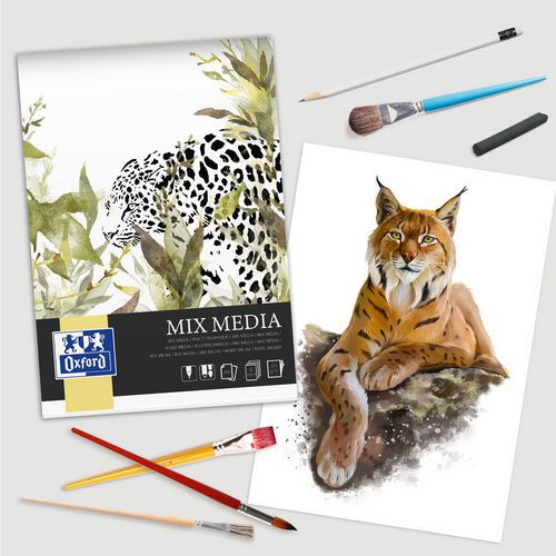 Blocco da disegno Mixmedia Oxford Art indorsato A4 50p 225g,