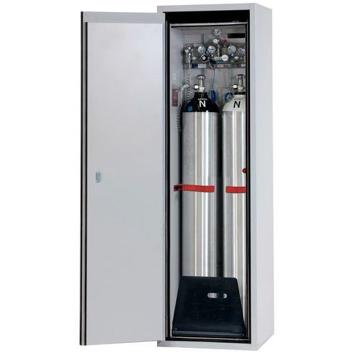 Armadio di sicurezza per stoccaggio 2 bombole di gas da 50 L,