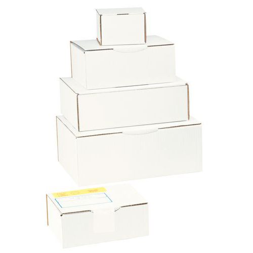 Mockup Di Scatola Di Cartone Ondulato Kraft - Foto 5