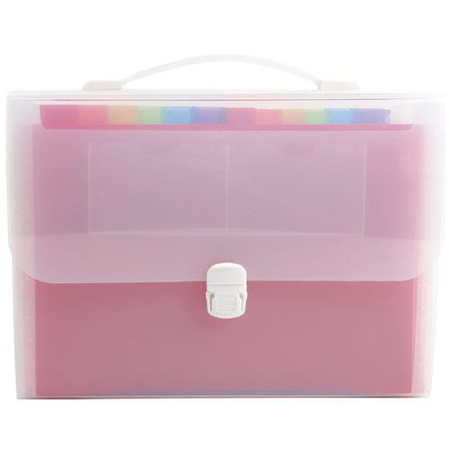 Valigetta portadocumenti con manico 24 scomparti Crystal - A4,