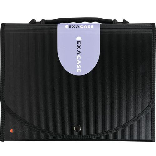 Valigetta portadocumenti Exacase Exactive 13 scomp. con manico,