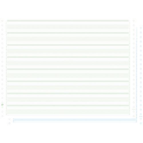 Elenco carta autocop. suddiv. aree verde/blu 1.000 fogli 380 x 11, 2 copie,