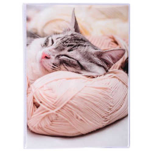 Album foto con bust. fless. 24 foto 10 x 15 cm col. assort.,