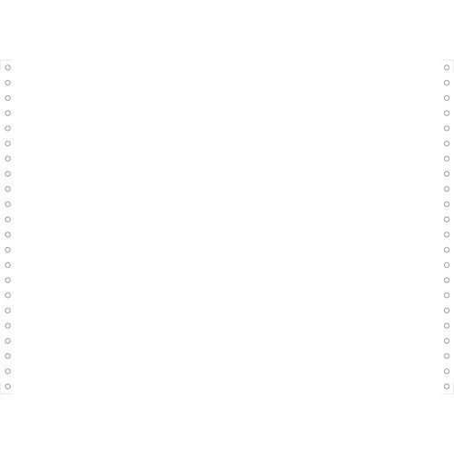 2.000 fogli bianchi 380 x 11 1 copia bande Caroll staccabili.,