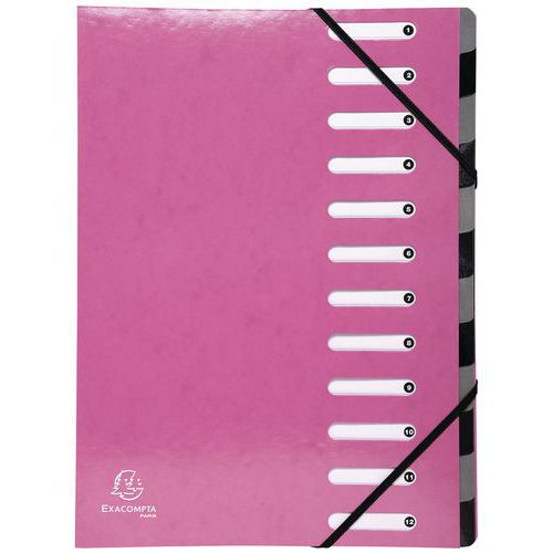Classificatore Harmonika Iderama 12 scomparti blu rosa,