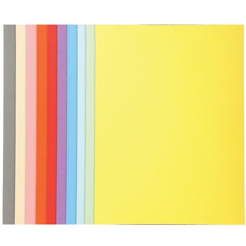 conf. 50 cart. Forever 170, 100% riciclate 24 x 32 cm col. assort.,