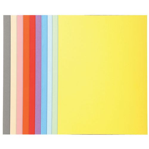 conf. 100 cart. Forever 170, 100% riciclate 24 x 32 cm col. assort.,