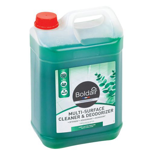 Detergente e deodorante multi-superficie - Eucalipto - 5L,