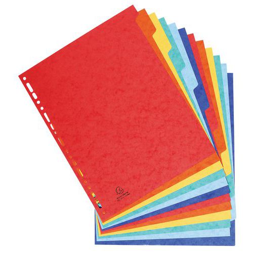 Separatore in cartoncino lucido XXL 12 posizioni,