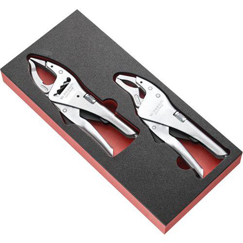 Modulo espanso 2 morsetti morse,