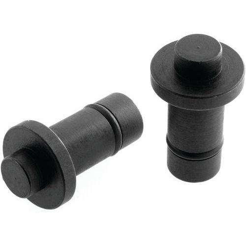 Set di 2 capicorda di ricambio con garanzia FACOM,