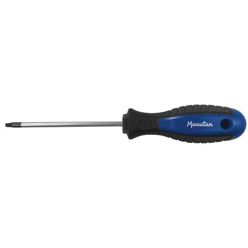 Cacciavite Torx T20 - Manutan,