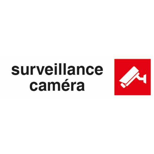 Cartello Videocamera di sorveglianza - Pavo,