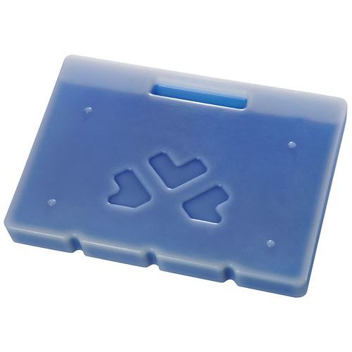 PIASTRA EUTETTICA SURGELATO PER MAILLON COL. BLU,