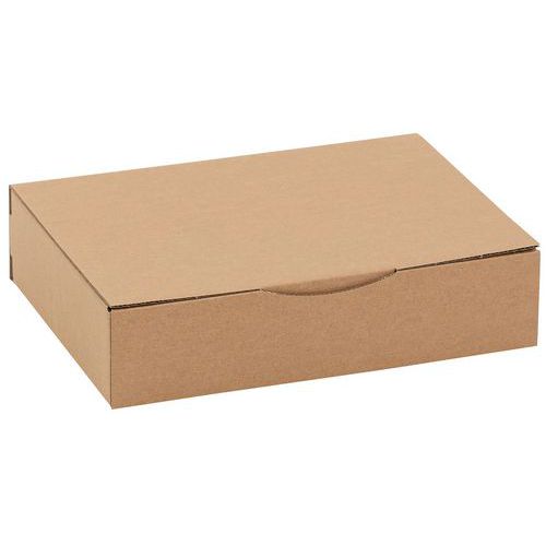 Scatola di spedizione kraft 310x215x70 mm,