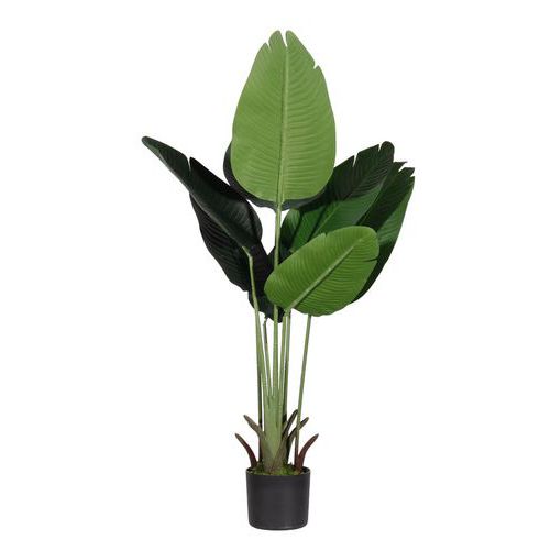 1 pianta artificiale tipo banano 115 cm,