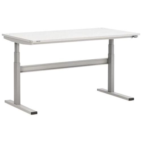 Banco da lavoro motorizzato standard M1350,