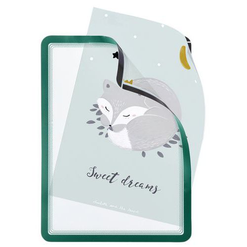 Cornice per affissione Magneto Retro magnetico A4 verde ,