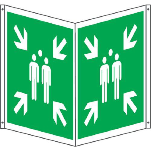 Cartello emergenza - bifacciale quadrato - punto di raccolta,