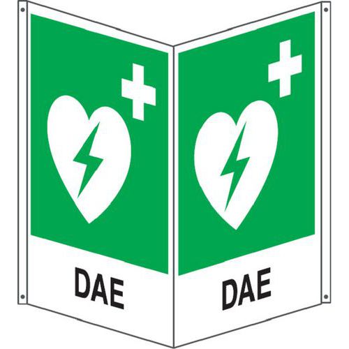 Bifacciale emergenza verticale DAE 250x310,